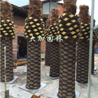 Προσαρμοσμένος μεγάλος 8m φοίνικας καρύδων αλγών καναρινιών ύψους τεχνητός για την υπαίθρια διακόσμηση