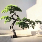 Εσωτερική γιγαντιαία Podocarpus τεχνητή όμορφη εμφάνιση δέντρων πεύκων