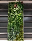 10 τεχνητού πράσινου έτη σκηνικού τοίχων, επιτροπές πυξαριού 100*100cm Faux