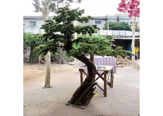 τεχνητό εσωτερικό Podocarpus δέντρο 1m, κανένα επιβλαβές τεχνητό δέντρο μπονσάι κέδρων